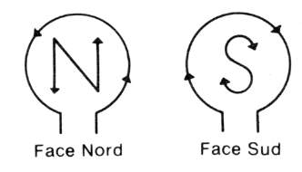 nord_sud